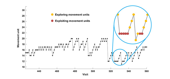 Behavioural Quantitative Analysis of Choreographic Decision-Making